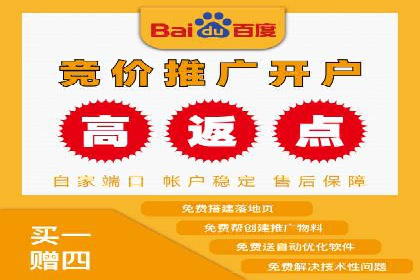 百度推广费用优化策略：成功案例分享